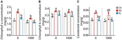 Suillusgrevillei and Suillus luteus promote lead tolerance of Pinus tabulaeformis and biomineralize lead to pyromorphite